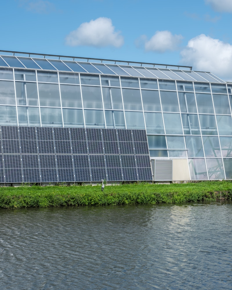 Perspective,View,Of,A,Modern,Industrial,Greenhouse,With,Solar,Panels